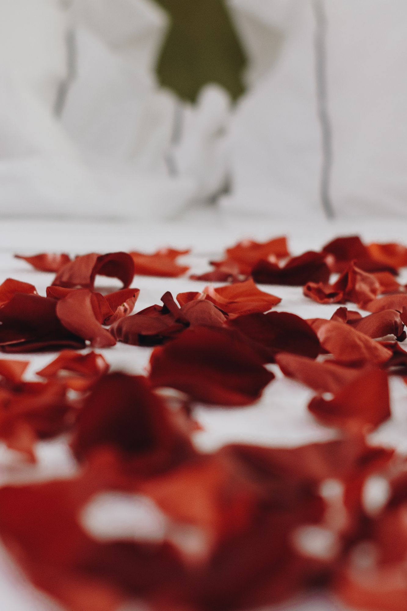 bed with rose petals